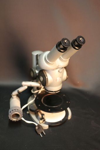 Loupe binoculaire, vue générale, ©UM