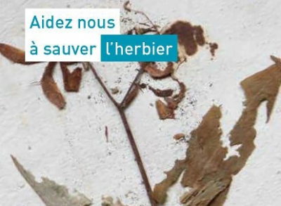Sauvons l&#039;Herbier!